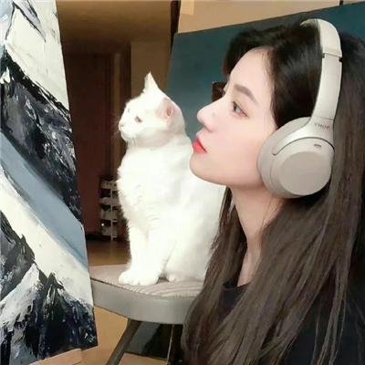 红袍与黑幕